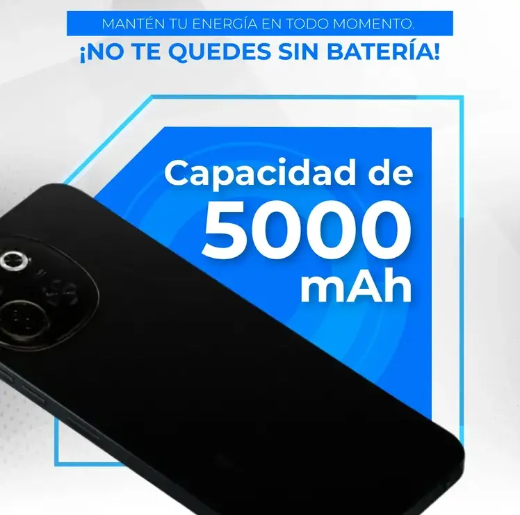 305g 4.webp